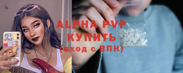 стаф Бежецк
