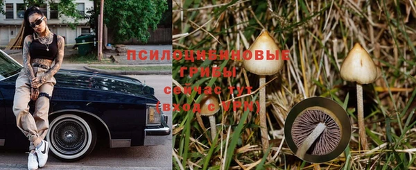 герыч Бородино