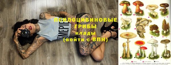 герыч Бородино